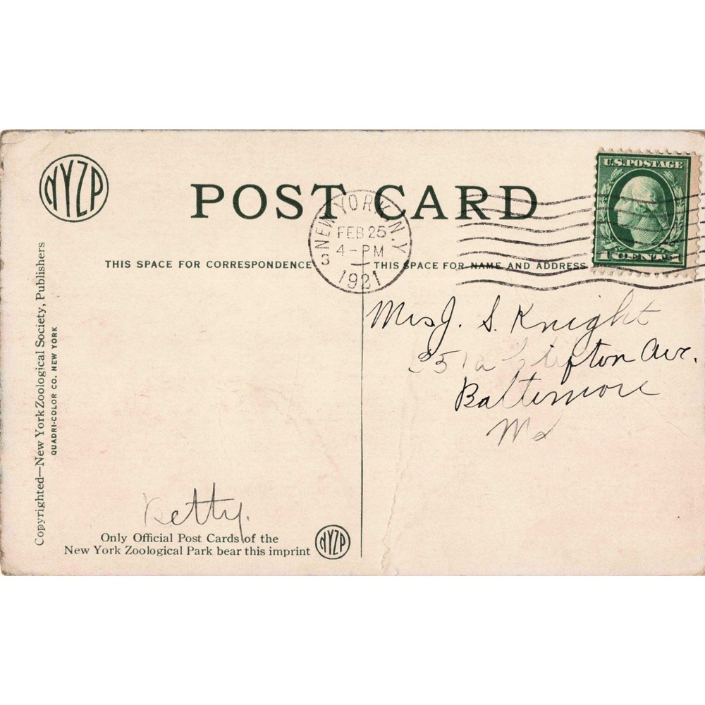 1921 New York Zoological Park Baird Court Bronx Zoo Antique Postcard 5002 B - Picture 2 of 2
